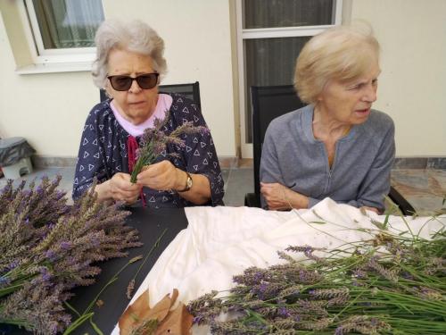 520559390 23986680341026254 4463965508181050831 n (1)