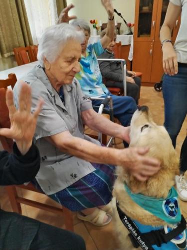 492547342 9553131741474354 6657944603762094678 n