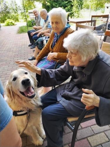 494004515 9557222124398649 2670173700564181932 n