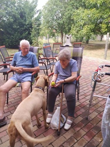 494477378 9602165286570999 7211830155787607296 n