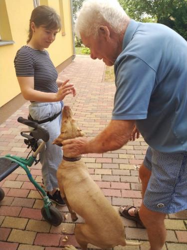 494751249 9602165393237655 650928725090177464 n