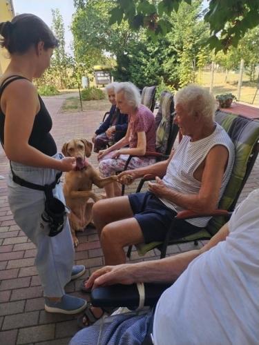 495458155 9677645329022994 2865933158087758667 n