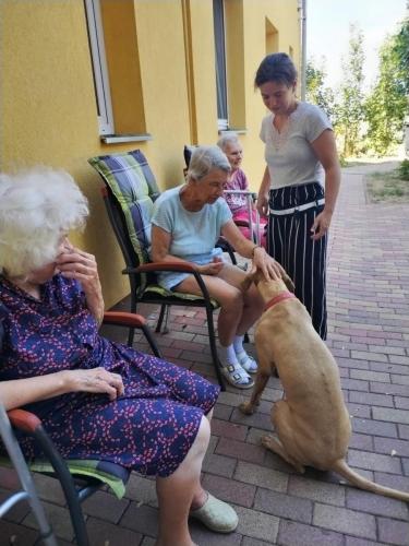 496830011 9683733955080798 2005599433004888192 n