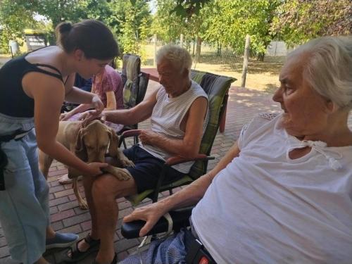 496936343 9677645325689661 2608379519552647734 n