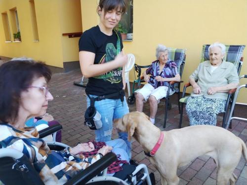 497842905 9737273586393501 3818219819698972530 n