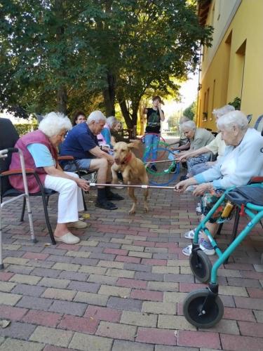 498033740 9737273886393471 252246377532957762 n