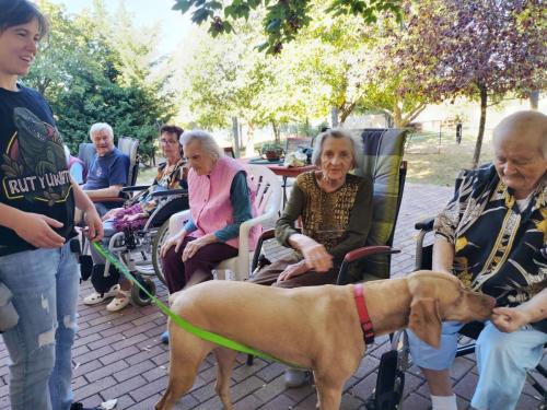 498547702 9737273916393468 5875220753343085170 n