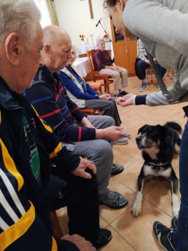 505129295 9923664107754447 3109938575620604632 n