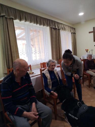 505313603 9923663787754479 297177775733027718 n