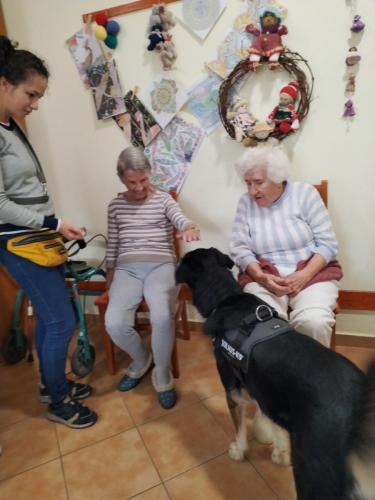 505452285 9923663937754464 7650881261307679513 n