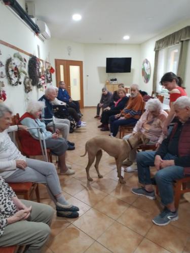 510448095 10017649335022590 518211891227744118 n