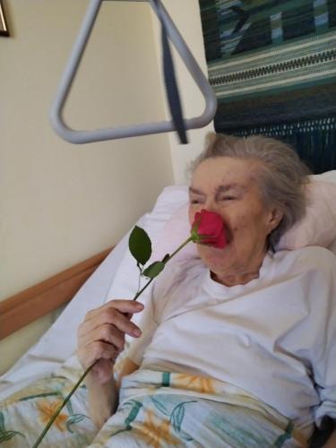 511836448 10021837071270483 1401615487687407306 n