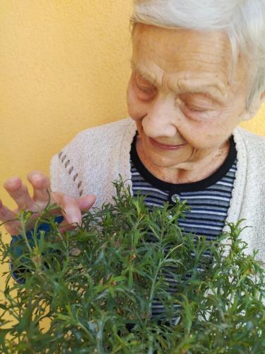 492418661 9562571793863682 5512236795082258076 n