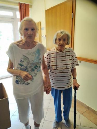 511456438 10040692176051639 139425618837544716 n